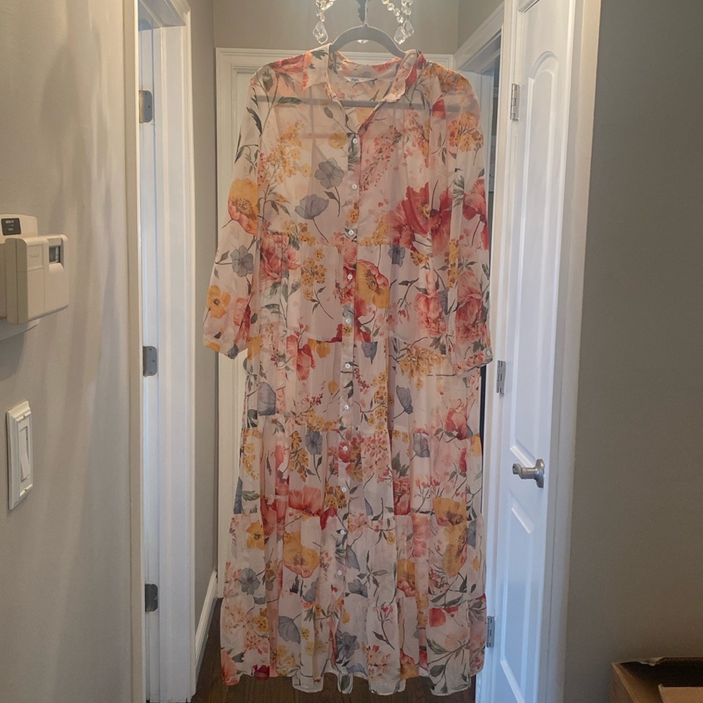 Zara Spring button down floral silk dress with nude underslip